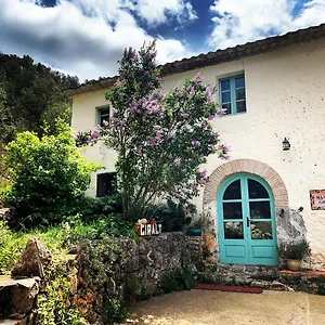 https://masia-con-encanto-1722-mas-den-giralt.catalonia-hotels.com